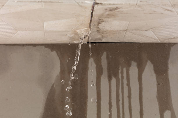 Professional Sewage Cleanup technician working in Avalon, TX